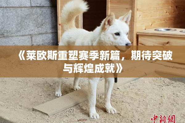 《莱欧斯重塑赛季新篇，期待突破与辉煌成就》