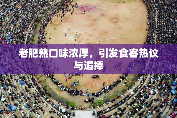 老肥熟口味浓厚，引发食客热议与追捧