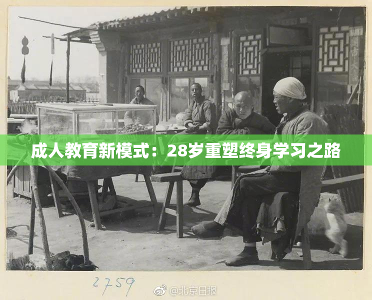 成人教育新模式：28岁重塑终身学习之路