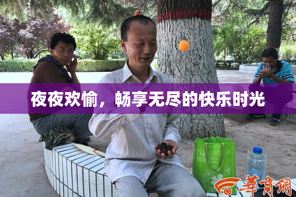 夜夜欢愉，畅享无尽的快乐时光