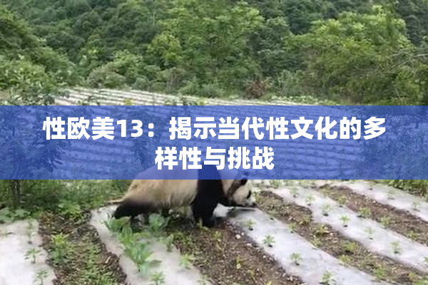 性欧美13：揭示当代性文化的多样性与挑战