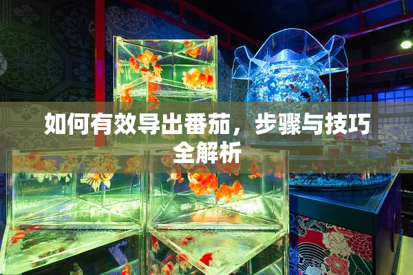 如何有效导出番茄，步骤与技巧全解析