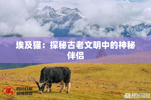 埃及猫：探秘古老文明中的神秘伴侣