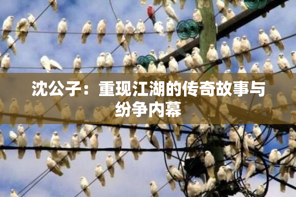 沈公子：重现江湖的传奇故事与纷争内幕