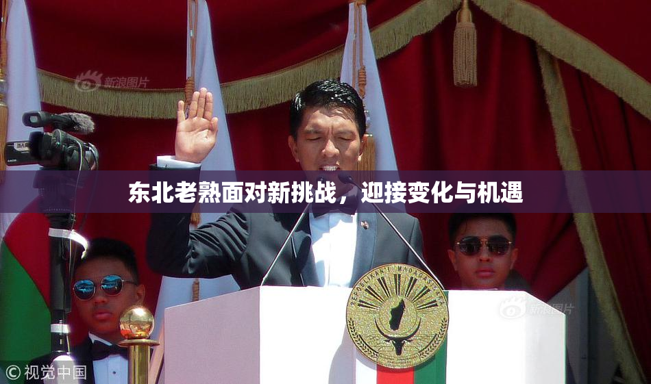 东北老熟面对新挑战，迎接变化与机遇