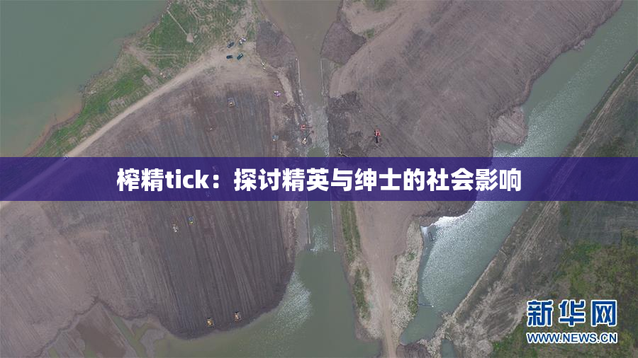 榨精tick：探讨精英与绅士的社会影响