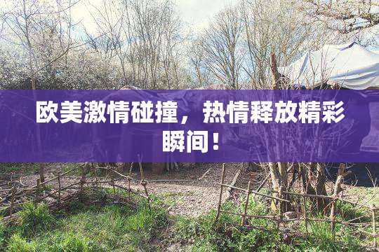 欧美激情碰撞，热情释放精彩瞬间！