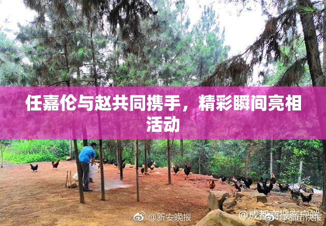 任嘉伦与赵共同携手，精彩瞬间亮相活动