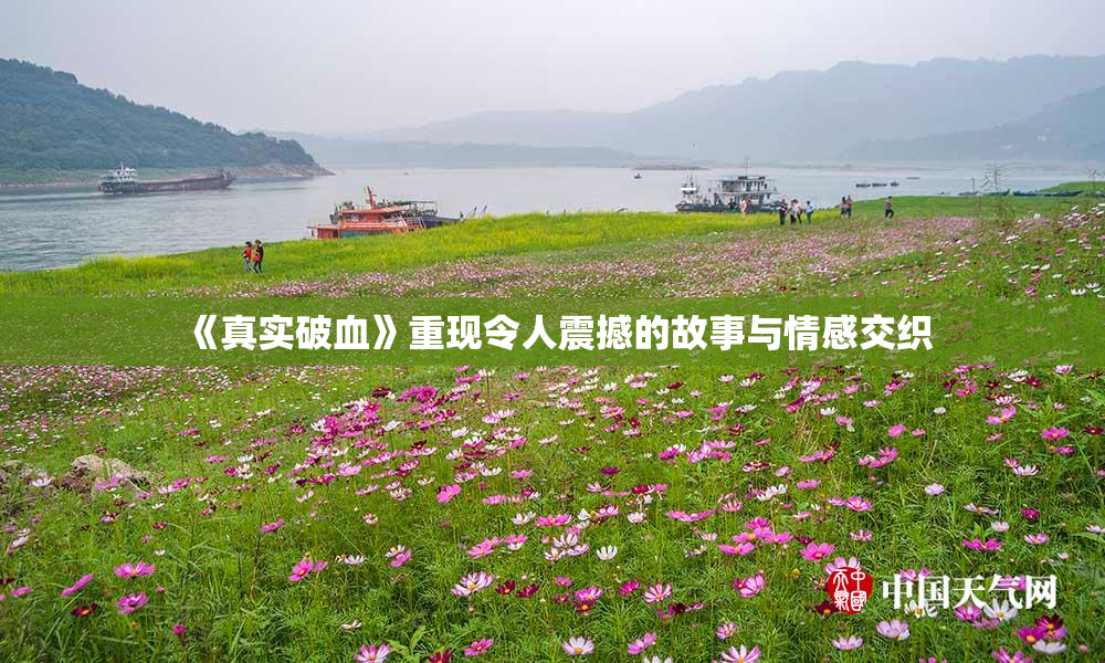 《真实破血》重现令人震撼的故事与情感交织