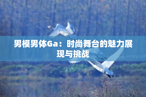 男模男体Ga：时尚舞台的魅力展现与挑战