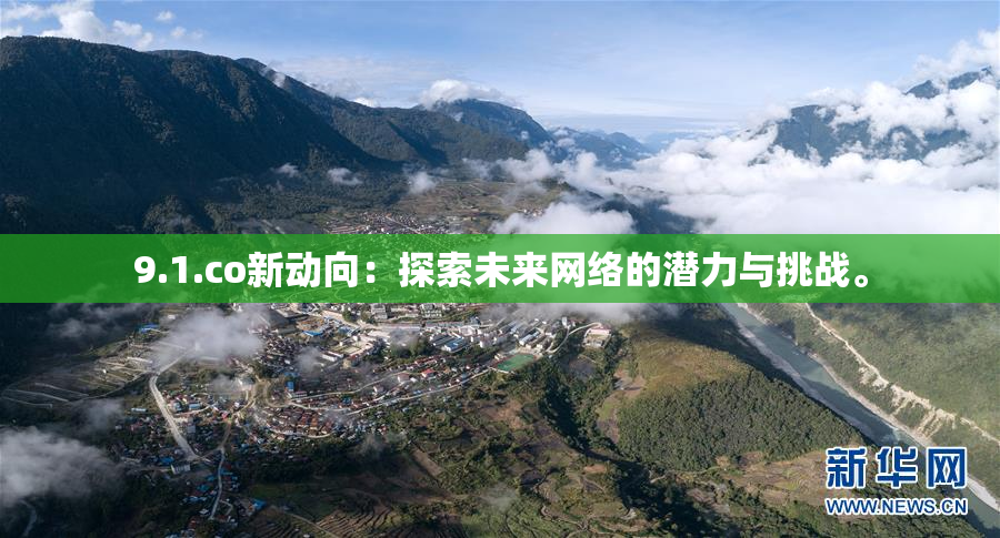 9.1.co新动向：探索未来网络的潜力与挑战。