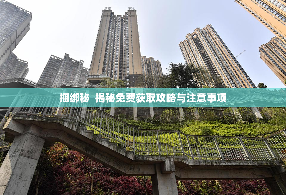 捆绑秘  揭秘免费获取攻略与注意事项