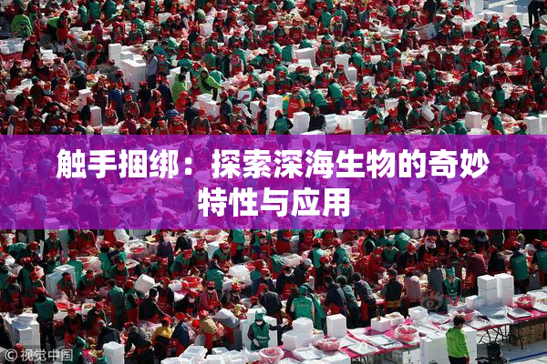 触手捆绑：探索深海生物的奇妙特性与应用