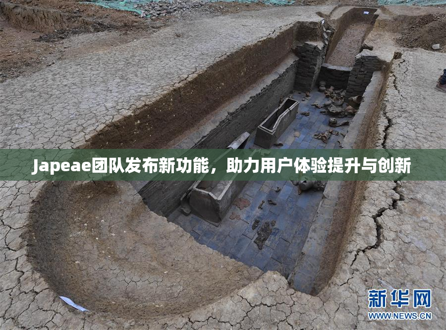 Japeae团队发布新功能，助力用户体验提升与创新