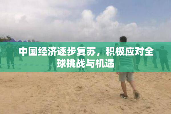 中国经济逐步复苏，积极应对全球挑战与机遇