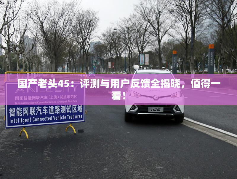 国产老头45：评测与用户反馈全揭晓，值得一看！