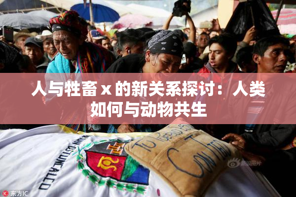 人与牲畜ⅹ的新关系探讨：人类如何与动物共生
