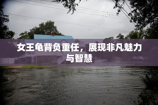 女王龟背负重任，展现非凡魅力与智慧