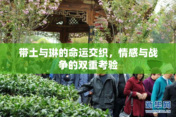 带土与琳的命运交织，情感与战争的双重考验