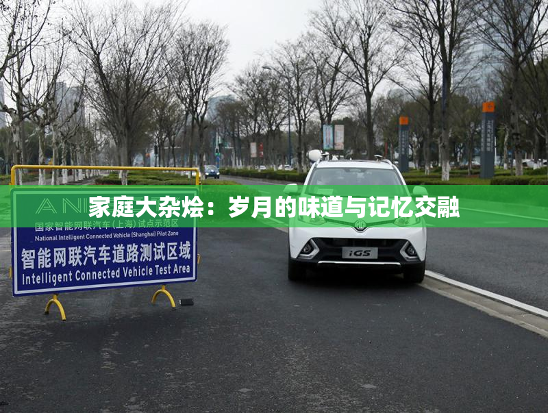 家庭大杂烩：岁月的味道与记忆交融