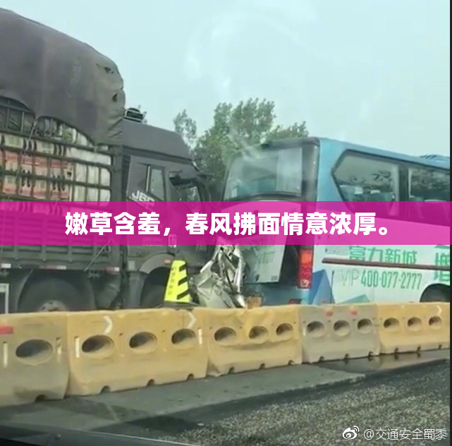嫩草含羞，春风拂面情意浓厚。