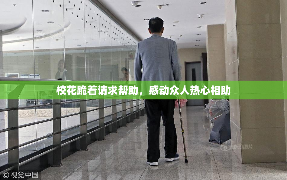 校花跪着请求帮助，感动众人热心相助