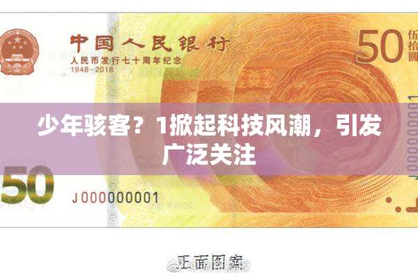 少年骇客？1掀起科技风潮，引发广泛关注