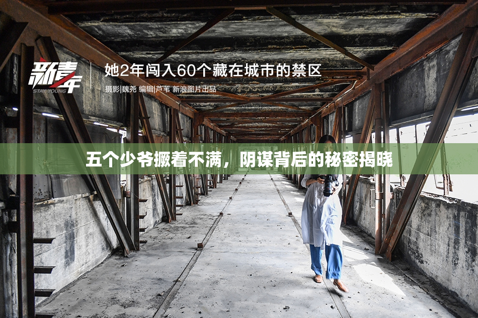 五个少爷撅着不满，阴谋背后的秘密揭晓