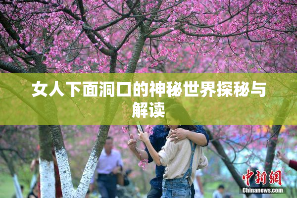 女人下面洞口的神秘世界探秘与解读