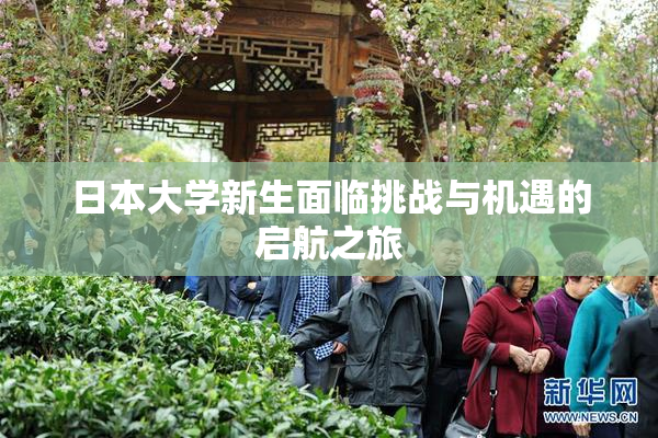 日本大学新生面临挑战与机遇的启航之旅