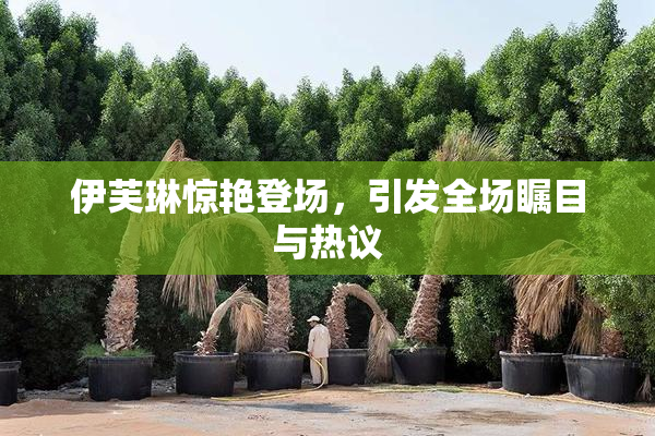 伊芙琳惊艳登场，引发全场瞩目与热议