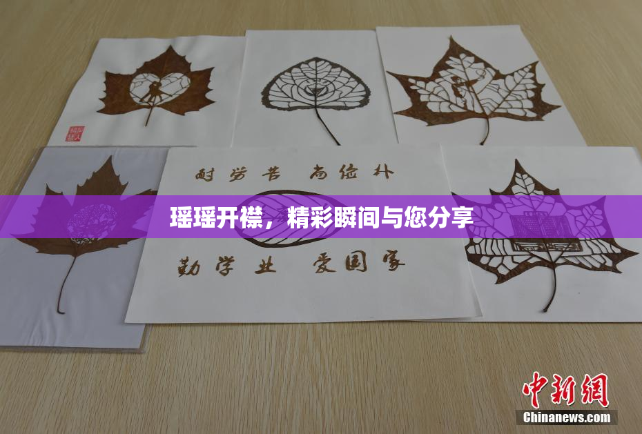 瑶瑶开襟，精彩瞬间与您分享