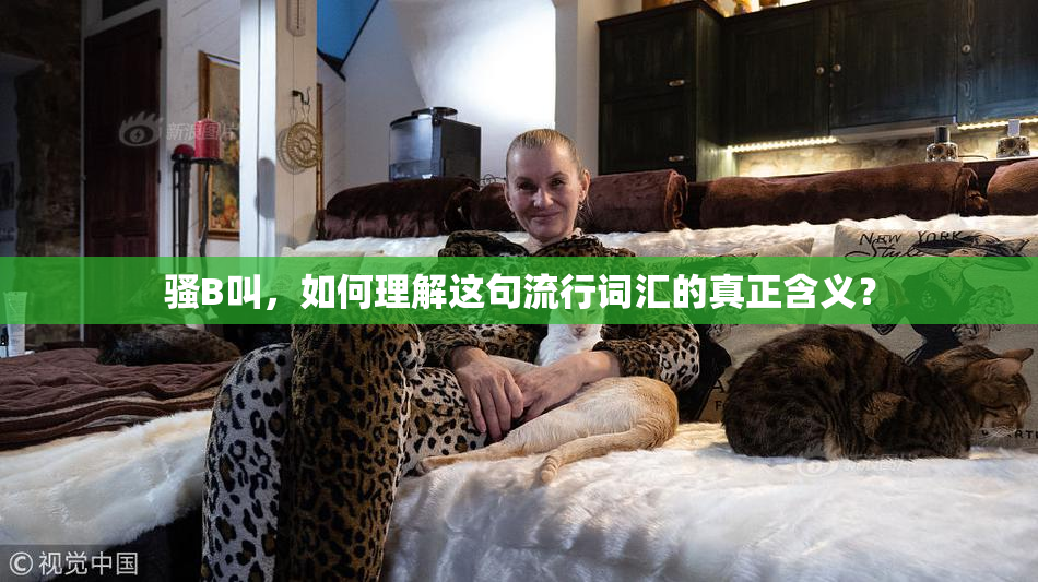 骚B叫，如何理解这句流行词汇的真正含义？