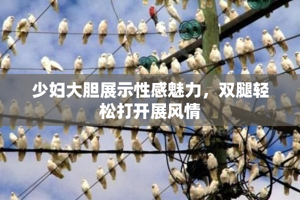 少妇大胆展示性感魅力，双腿轻松打开展风情
