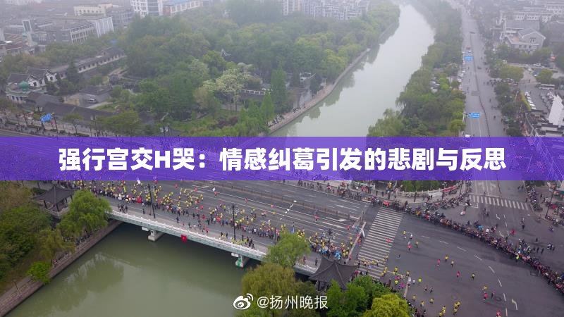 强行宫交H哭：情感纠葛引发的悲剧与反思
