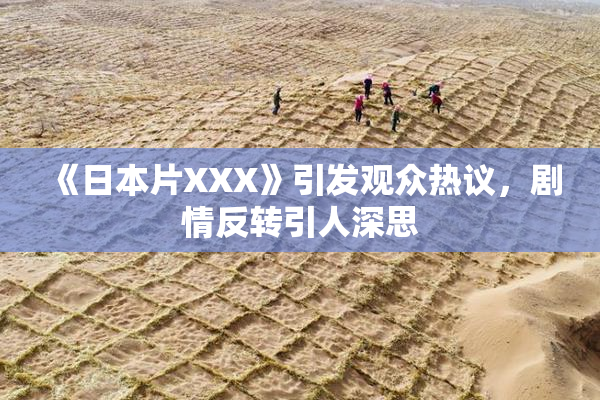 《日本片XXX》引发观众热议，剧情反转引人深思