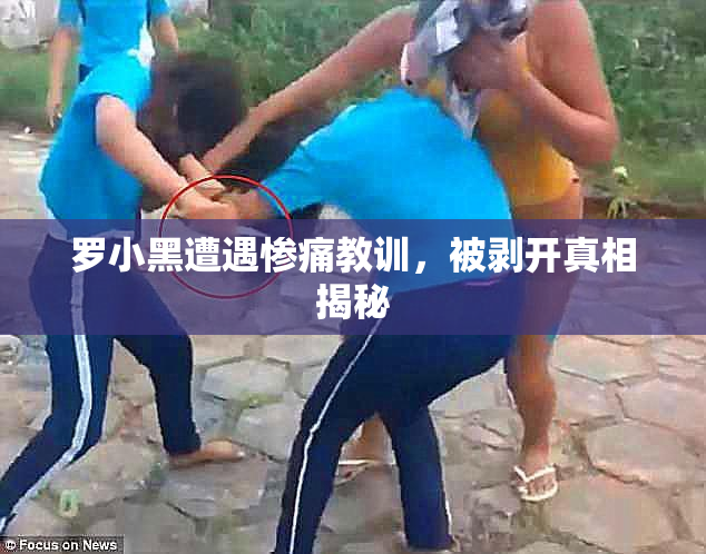 罗小黑遭遇惨痛教训，被剥开真相揭秘