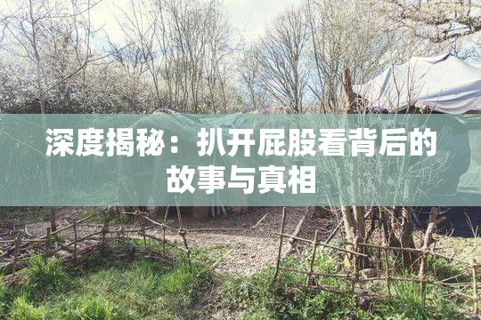 深度揭秘：扒开屁股看背后的故事与真相