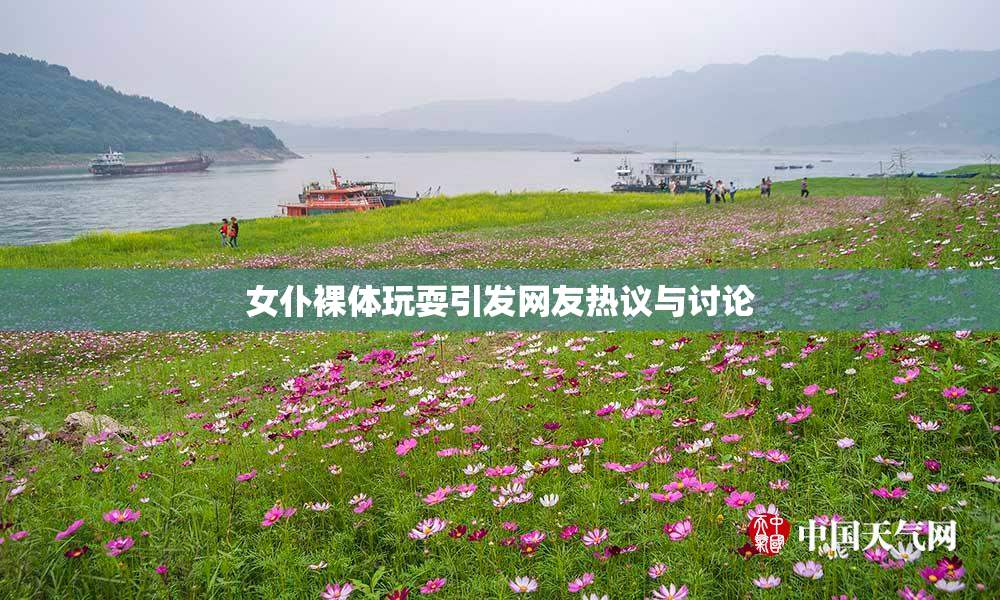 女仆裸体玩耍引发网友热议与讨论