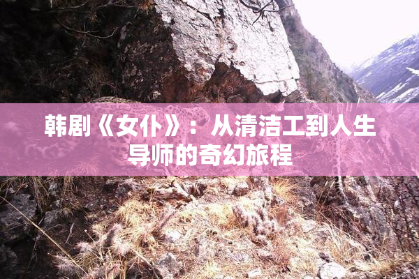 韩剧《女仆》：从清洁工到人生导师的奇幻旅程