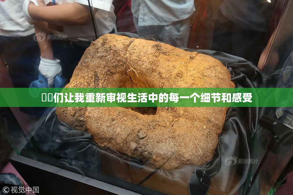 妺妺们让我重新审视生活中的每一个细节和感受