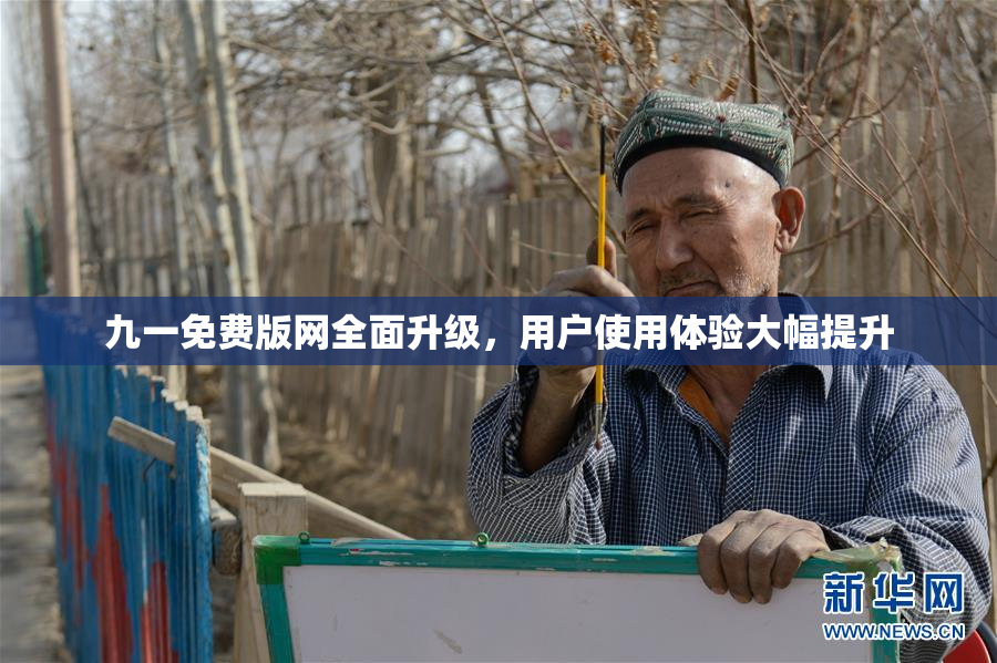 九一免费版网全面升级，用户使用体验大幅提升