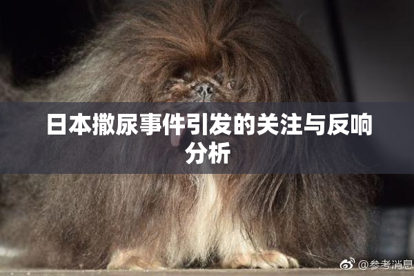 日本撒尿事件引发的关注与反响分析