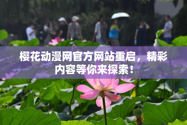 樱花动漫网官方网站重启，精彩内容等你来探索！