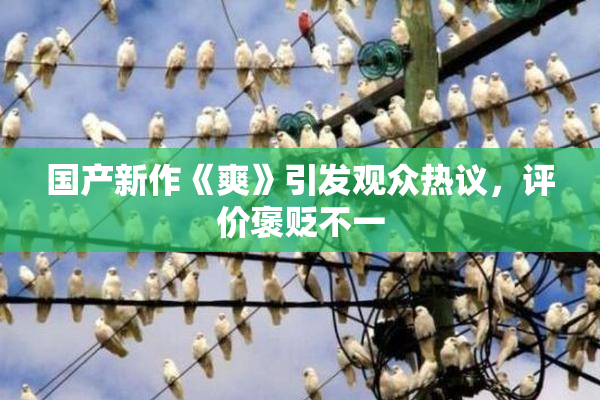 国产新作《爽》引发观众热议，评价褒贬不一