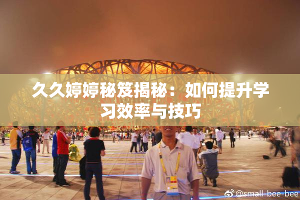 久久婷婷秘笈揭秘：如何提升学习效率与技巧