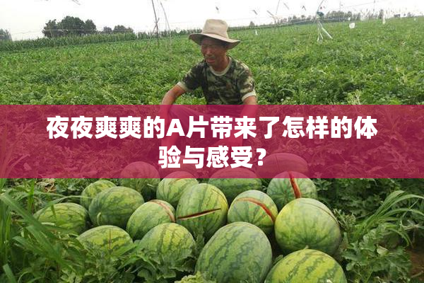 夜夜爽爽的A片带来了怎样的体验与感受？