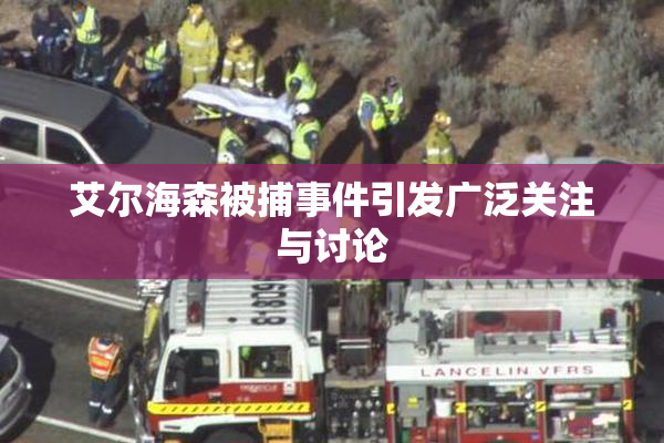 艾尔海森被捕事件引发广泛关注与讨论
