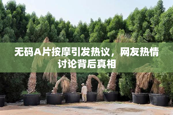无码A片按摩引发热议，网友热情讨论背后真相
