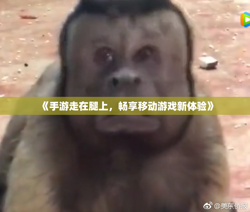 《手游走在腿上，畅享移动游戏新体验》